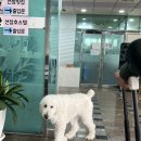 선창호스텔 | [동해 묵호] 어달항을 담은 가성비 오션뷰, 선창 호스텔 후기
