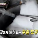 금치농장 이미지