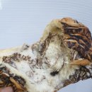 카페일리터 이미지