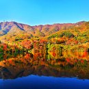 덕산자원(환경)