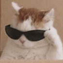 내눈에 김안과 의원 이미지