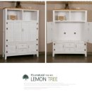 레몬트리 이미지