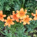 지리산하늘한옥 이미지