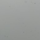 빈스로드 이미지