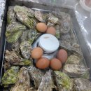 석화식당 - 송파구 | 석화식당
