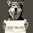 씨씨홀덤 | 집에 갈 각오