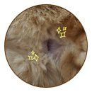 물에 잘 녹는 <b>페피</b><b>릴리프</b> 고양이 배변티슈로 청결하게!