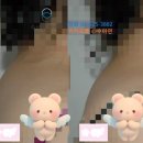 버팔로 티스토리