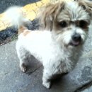 남현동-22 이미지