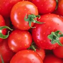 토마토온누리약국 이미지