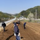 삼태산농촌체험휴양마을 이미지