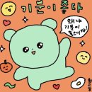 한탄강 얼음트레킹 축제 정보ㅣ신청방법, 셔틀운행, 요금(feat. 카페은하수 방문후기)