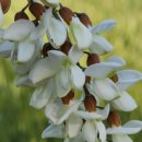 갈곡농장 이미지