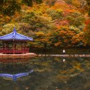 가을 단풍이 물들면 꼭 가봐야 하는 지역 이미지