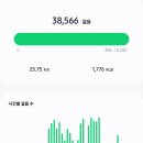 파인비치 | 한라산 성판악 코스 후기, 한라산 탐방예약 방법, 성판악 주차장 만차시 주차 위치