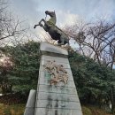 팔마수영장 이미지