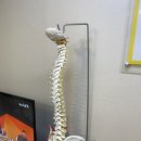 고려건강안마원 이미지