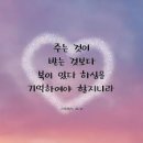 박수명: 이재명 대통령의 이번 베트남 국빈 방문(4월 19일~24일) 성과. 2026.04.28.화 이미지