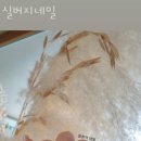 실버지네일