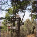 천보산쉼터 Daum카페