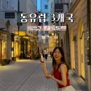 동유럽 3개국 여행루트 체코 오스트리아 헝가리 여행코스 가볼만한곳