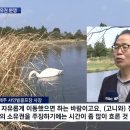 고니목장 이미지