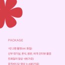 문화DVD