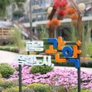 국화정원 이미지