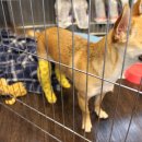 이지훈동물병원 이미지