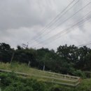 성철목장 이미지