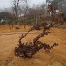 곡은농장 이미지