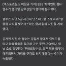 [엑스포츠뉴스]펭수, '펭미팅' 암표상에 분개…"펭클럽 자리를 뺏어가?" 이미지