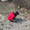 후평숲캠핑장 이미지