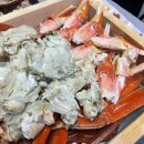 김선장네 | 사천 맛집 삼천포 대게 참치회 벌리동 김선장대게