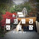가을 단풍 명소 캠핑장추천, 홍천 에코밸리캠핑장 폭포사이트 후기