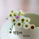(주)펀네트 네이버블로그