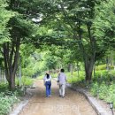 보성이네 이미지