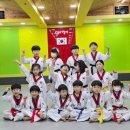 한샘태권도장 이미지