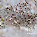 파도고개로 이미지