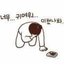 아이스24 이미지