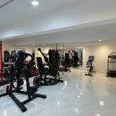 GYM223 이미지