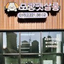 모랑펫살롱 이미지