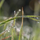 자연 NATURE 이미지