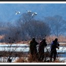 고니고니 이미지