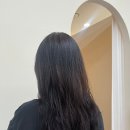 풀로진 이미지