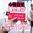 엘레가 라벨르 이미지