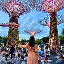 세븐일레븐 리버파크점 | 싱가포르 리버크루즈 가격 야경 투어 여행 코스 추천