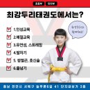 최강두리 태권도 이미지