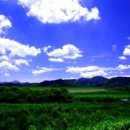 하얀마음 이미지