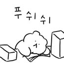국수나무거제하나로마트점 이미지